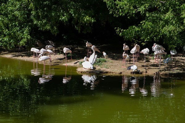 Lyon, Parc de la Tête d'Or