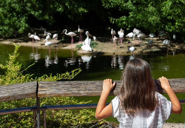 Lyon, Parc de la Tête d'Or, animaux