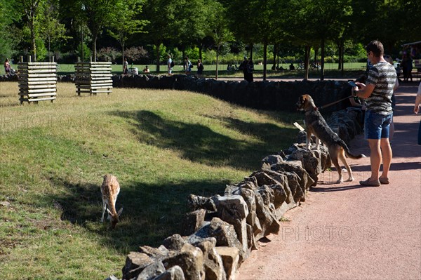 Lyon, Parc de la Tête d'Or