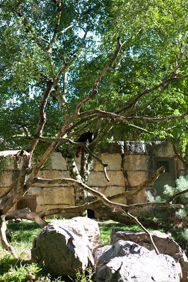 Lyon, Parc de la Tête d'Or, animaux