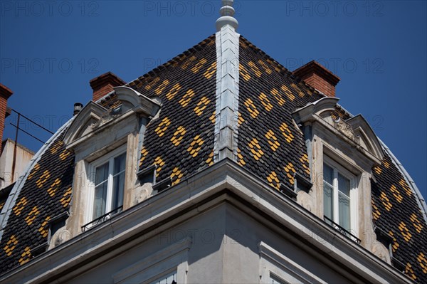 Lyon, Quai Victor Augagneur, toitures aux tuiles vernissées