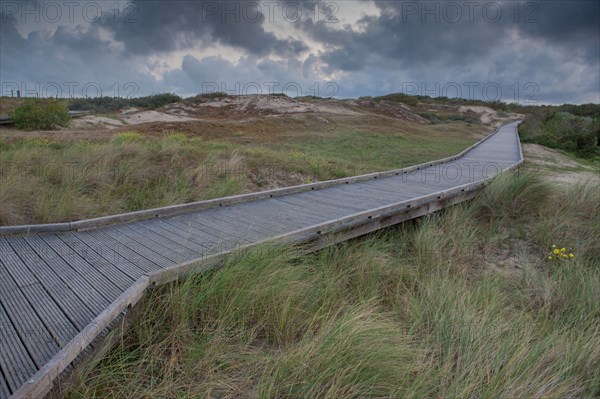 Le Touquet Paris Plage, dunes au dessus de la plage