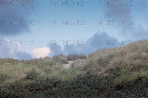 Le Touquet Paris Plage, dunes above the beach