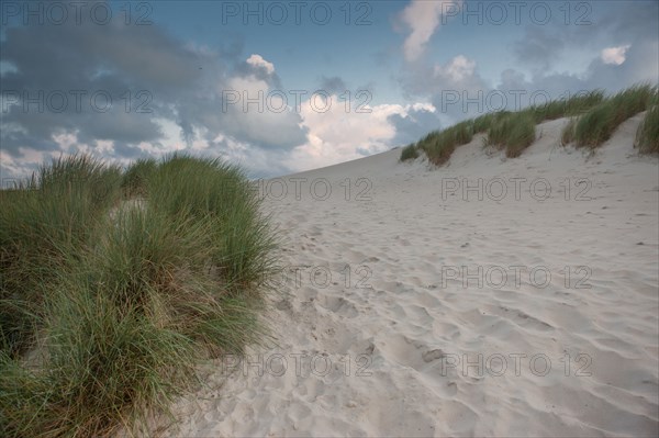 Le Touquet Paris Plage, dunes above the beach