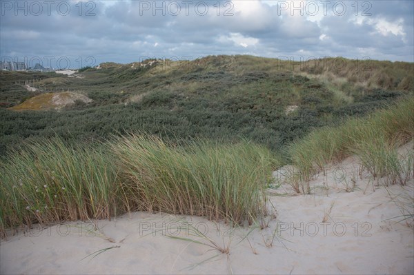 Le Touquet Paris Plage, dunes above the beach