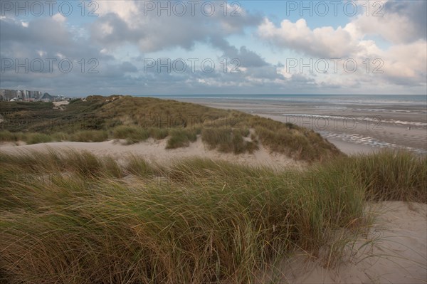 Le Touquet Paris Plage, dunes au dessus de la plage