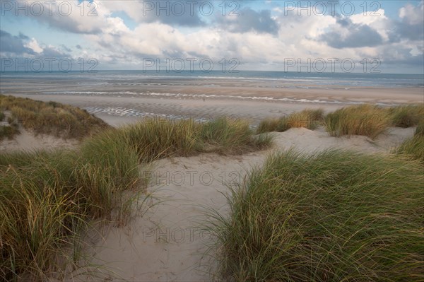 Le Touquet Paris Plage, dunes au dessus de la plage