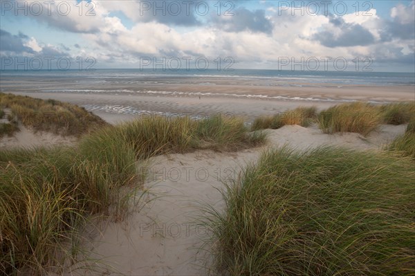 Le Touquet Paris Plage, dunes au dessus de la plage