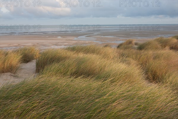 Le Touquet Paris Plage, dunes au dessus de la plage