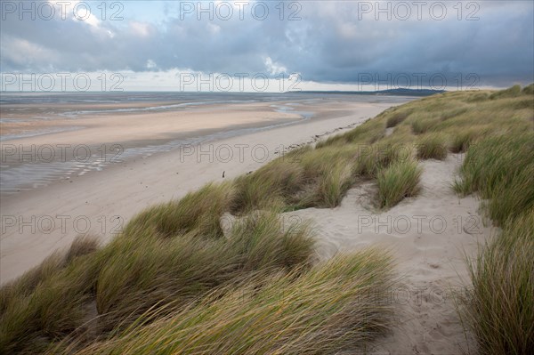 Le Touquet Paris Plage, dunes au dessus de la plage