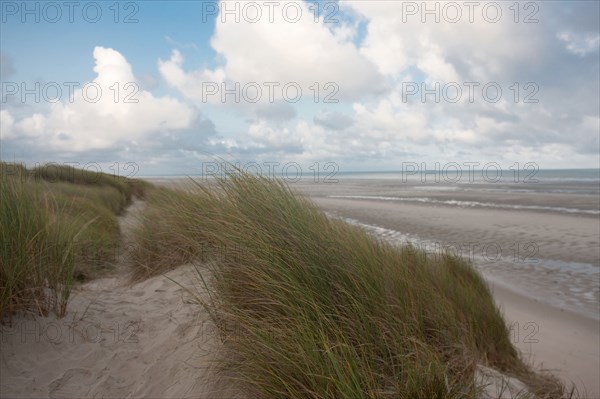 Le Touquet Paris Plage, dunes above the beach