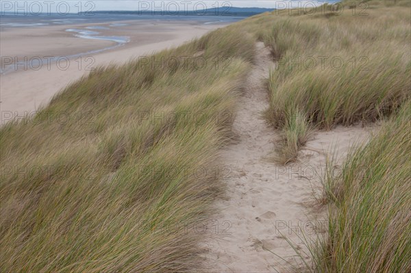 Le Touquet Paris Plage, dunes au dessus de la plage