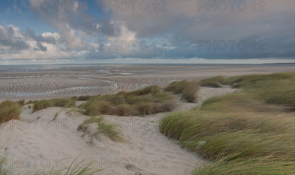 Le Touquet Paris Plage, dunes au dessus de la plage