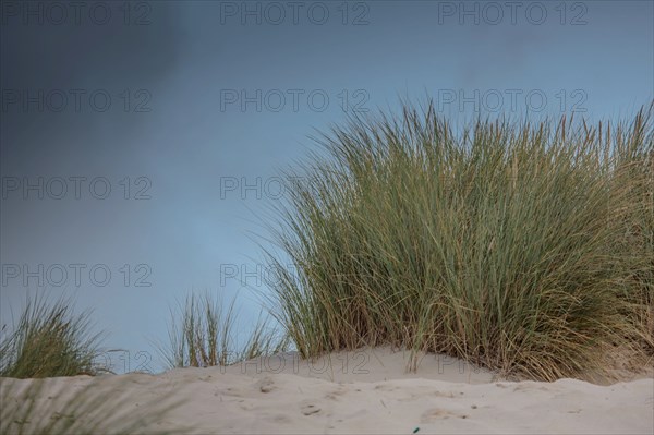 Le Touquet Paris Plage, dunes au dessus de la plage