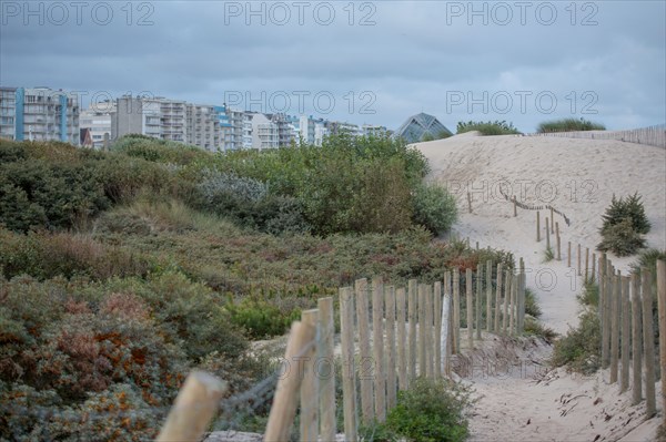 Le Touquet Paris Plage, dunes au dessus de la plage