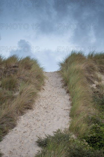 Le Touquet Paris Plage, dunes au dessus de la plage