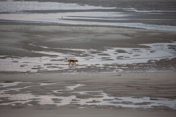 Le Touquet Paris Plage, dunes au dessus de la plage