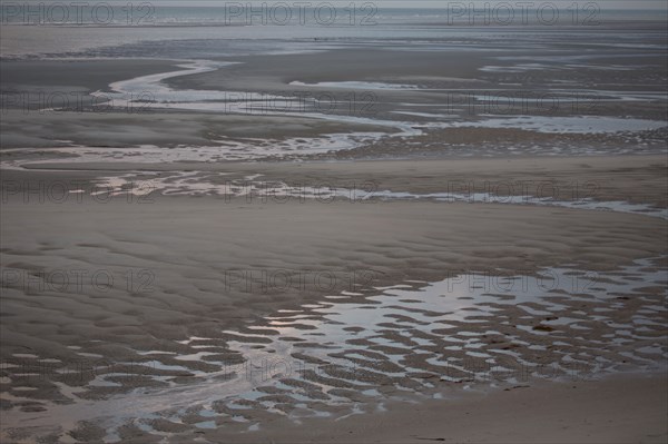 Le Touquet Paris Plage, dunes above the beach