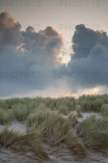 Le Touquet Paris Plage, dunes au dessus de la plage