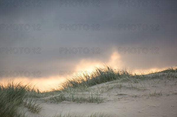 Le Touquet Paris Plage, dunes above the beach