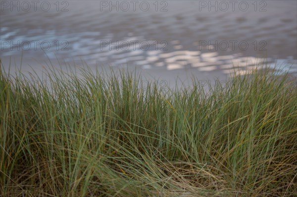 Le Touquet Paris Plage, dunes above the beach