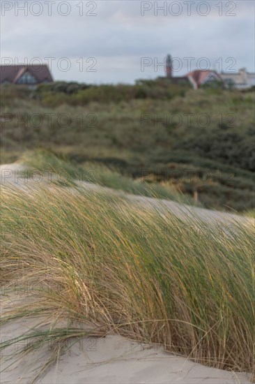 Le Touquet Paris Plage, dunes au dessus de la plage