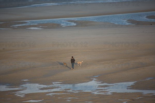 Le Touquet Paris Plage, woman walking her dogs on the beach