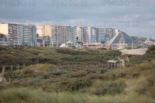 Le Touquet Paris Plage, dunes au dessus de la plage