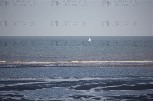 Le Touquet Paris Plage, la plage à marée basse