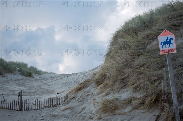 Le Touquet Paris Plage, la dune