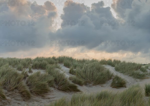 Le Touquet Paris Plage, dunes au dessus de la plage