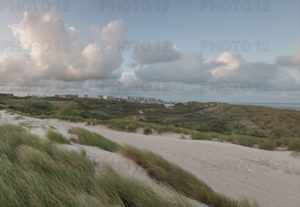 Le Touquet Paris Plage, dunes au dessus de la plage