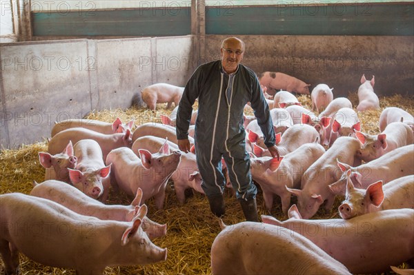 Ambrumesnil, Le Cochon Campagnard