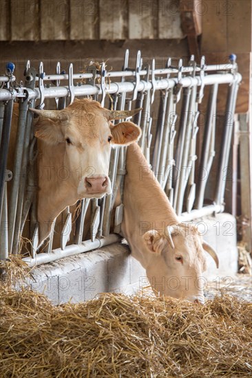 Luneray, Ferme des Trois Portes