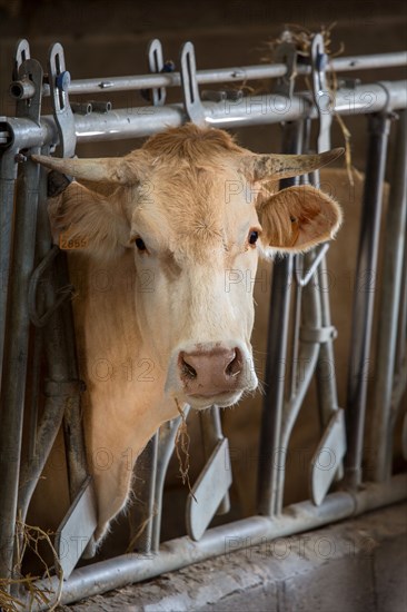 Luneray, Ferme des Trois Portes