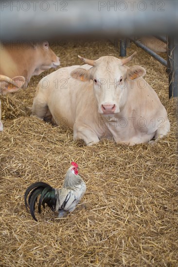 Luneray, Ferme des Trois Portes