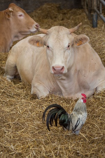 Luneray, Ferme des Trois Portes