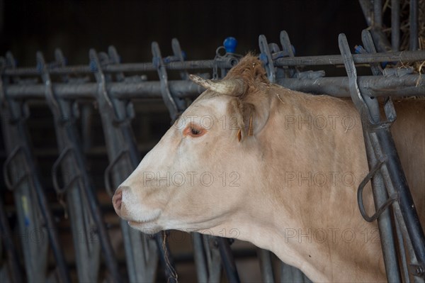 Luneray, Ferme des Trois Portes