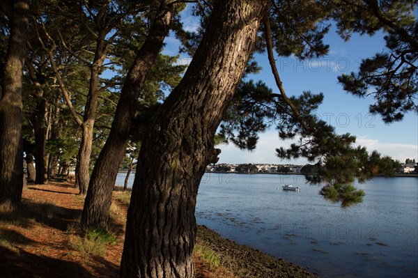 Lorient, Boulevard Laënnec, promenade le long du Scorff