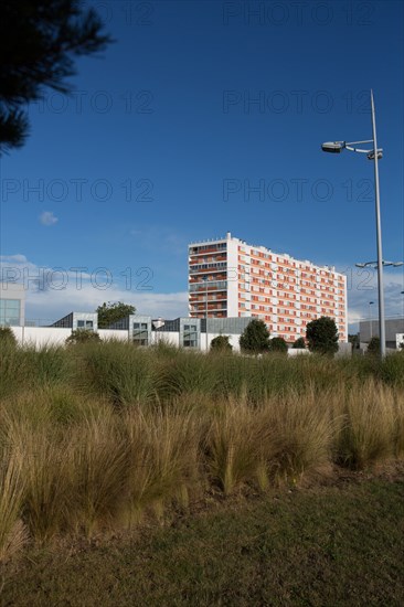 Lorient, Rue Straed Louis Guiguen, promenade le long du Scorff