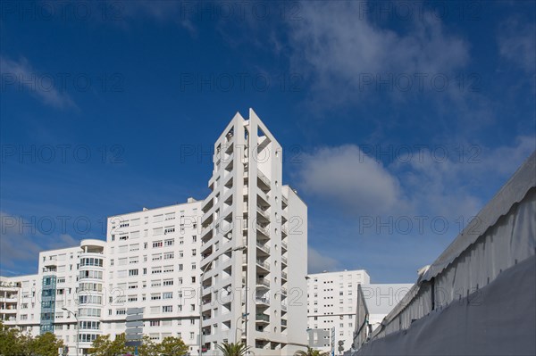 Lorient, marina during the Interceltic Festival