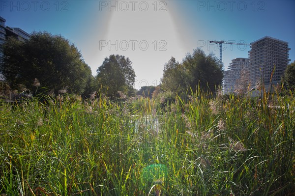 Paris, nouveau quartier des Batignolles