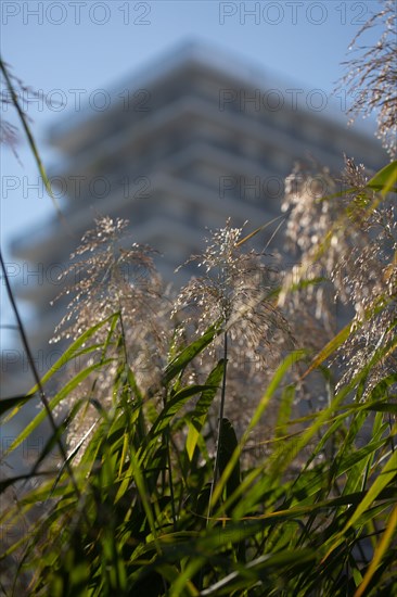 Paris, nouveau Palais de Justice