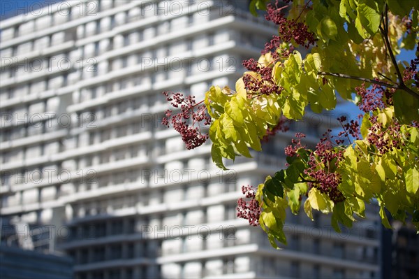 Paris, nouveau quartier des Batignolles