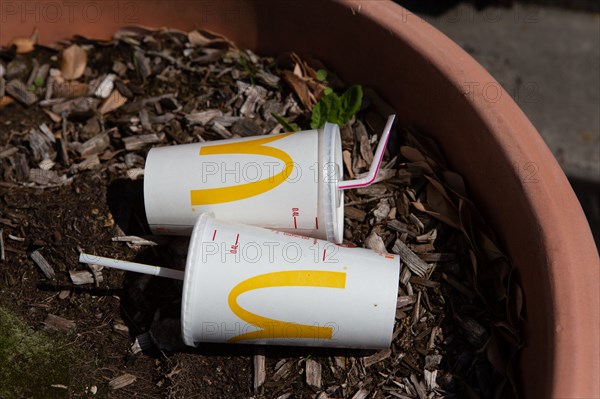 Etaples-sur-Mer, tumblers in a window box