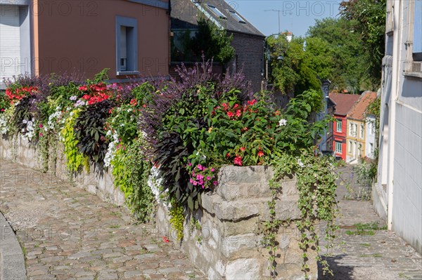 Montreuil-sur-Mer, parvis Saint-Firmin,