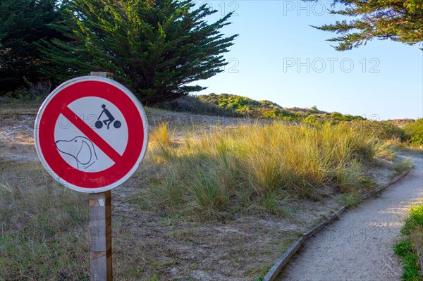 Merlimont Plage, sentier de découverte de la dune parabolique