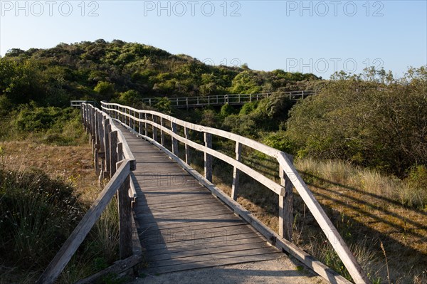 Merlimont Plage, sentier de découverte de la dune parabolique