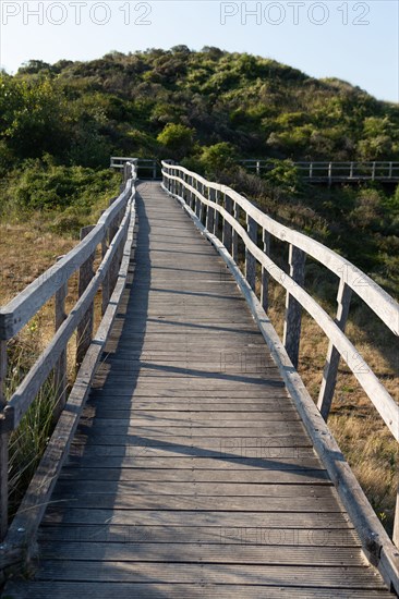 Merlimont Plage, sentier de découverte de la dune parabolique