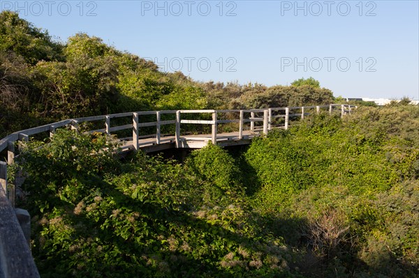 Merlimont Plage, sentier de découverte de la dune parabolique